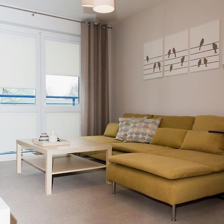 Apartamenty Lubin -City Center- エクステリア 写真